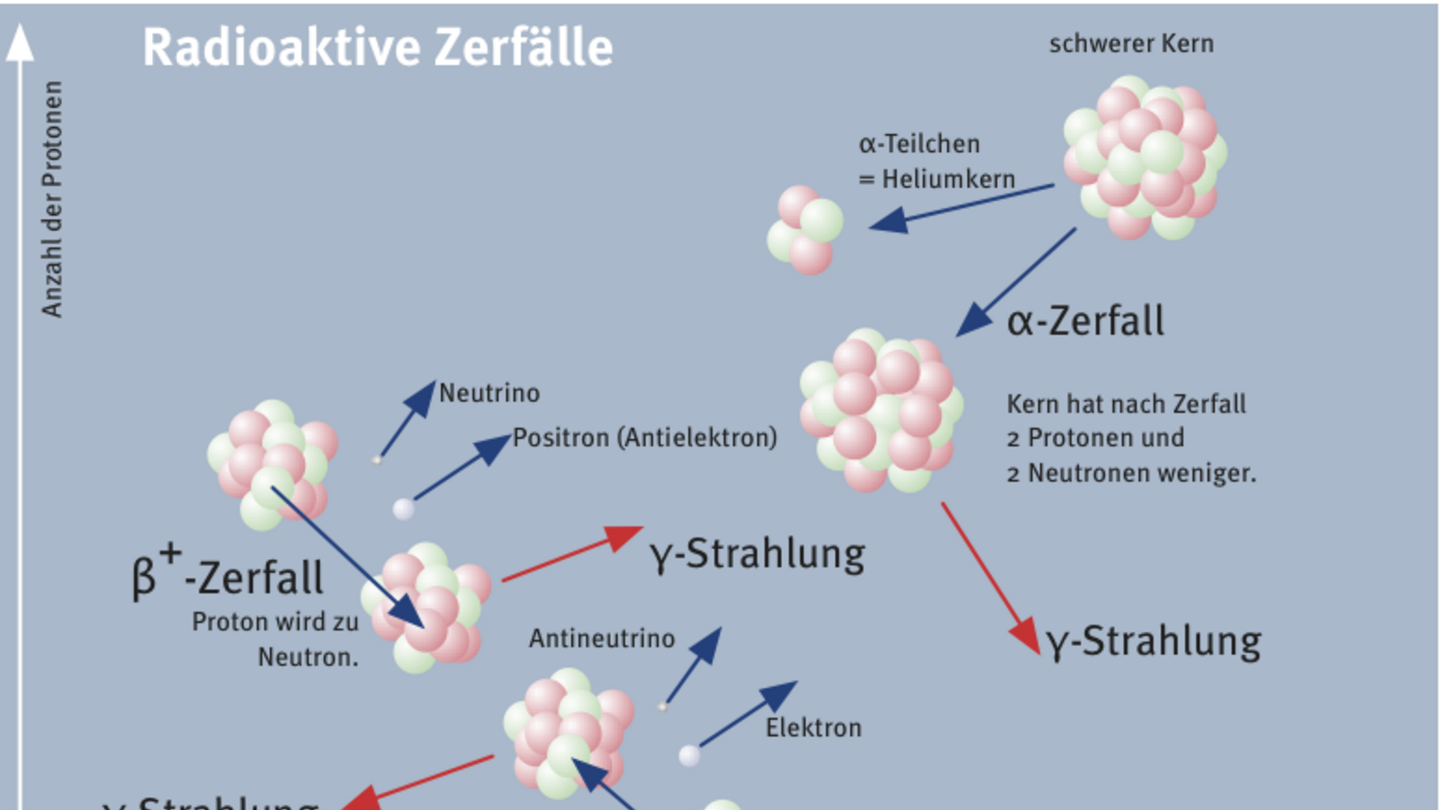 csm 2011 Zerfallswege jkube 3e3c365017
