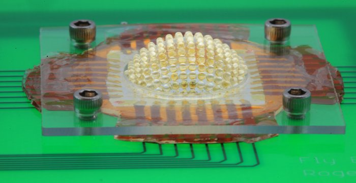 Künstliches Facettenauge Eine Halbkugel besetzt mit vielen kleinen, durchsichtigen Kügelchen wölbt sich über ein elektrisches Schaltmodul.