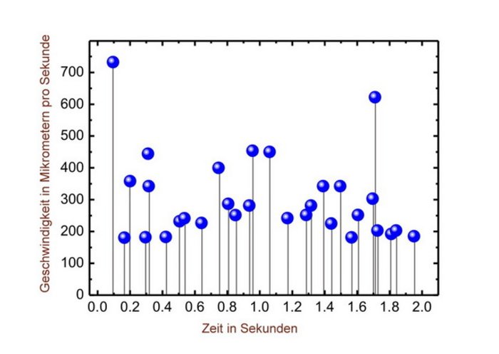Diagramm, Beschriftung Ordinate:  Geschwindigkeit in Mikrometern pro Sekunde, Wertebereich null bis siebenhundert; Beschriftung Abszisse: Zeit in Sekunden, Wertebereich null bis zwei. Der Geschwindigkeitsverlauf ist nicht kontinuierlich sondern besteht aus isolierten Spitzen.