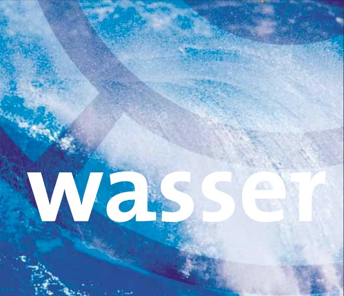 Jahr der Geowissenschaften Schriftzug Wasser vor brechenden Wellen.