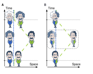 Eine grafische Gegenüberstellung des Zwillingsparadoxons und seiner quantenmechanischen Abwandlung. Die linke Grafik stellt das klassische Zwillingsparadoxon dar, während die rechte Grafik die Quantenversion des Zwillingsparadoxons zeigt. Auf der x-Achse ist der Raum und auf der y-Achse ist die Zeit aufgetragen. Die Grafiken stellen durch unterschiedlich stark alternde Männer dar, wie schnell die Zeit entlang verschiedener Pfade durch den Raum vergeht. 