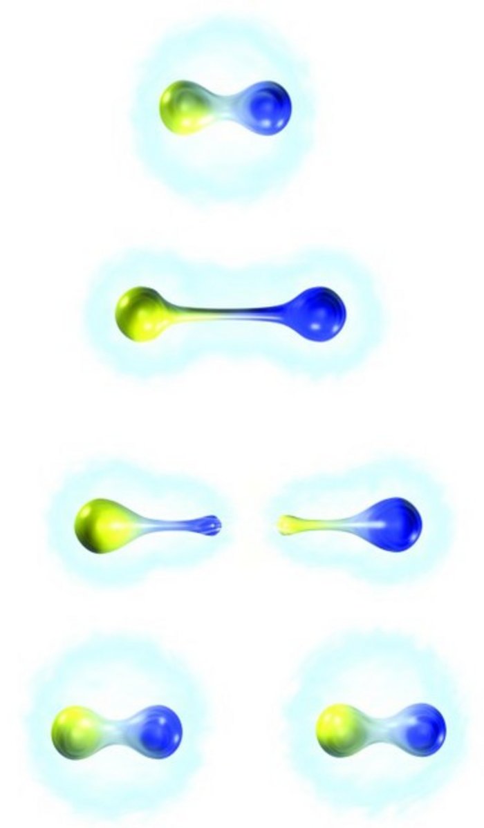 Vierteilige Grafik. 1. Eine gelbe und eine blaue Kugel, die miteinander verbunden sind. 2. Die Kugeln entfernen sich ein Stück voneinander, sind aber noch verbunden. 3. Die Kugel sind so weit auseinander, dass sie getrennt sind, aber an der Trennungsstelle entstehen je eine neue gelbe und blaue Kugel. 4. Es existieren nun nebeneinander zwei verbundene Paare aus jeweils einer gelben und einer blauen Kugel.