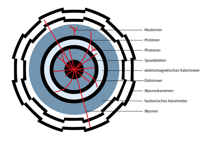 Querschnitt des ATLAS-Detektors Eine Infografik zeigt den stilisierten Querschnitt eines Detektors mit verschiedenen Schichten, in welche Linien eingezeichnet sind.