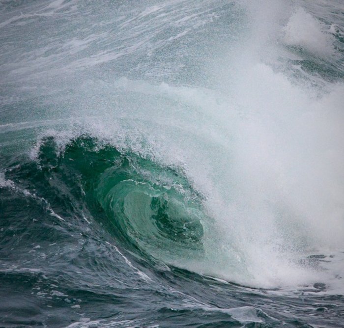 Das Foto zeigt eine Welle, die gerade bricht, von der Seite. Dabei entsteht eine weiße Schaumkrone. Man sieht in einen Tunnel aus Wasser hinein.