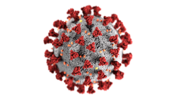 Modell des Virus, dargestellt als eine graue Kugel mit roten Stäbchen.