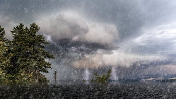 Überflutete Region mit Bäumen in Regen und Gewitter