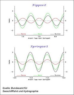 Infografik in zwei Teilen. Dargestellt ist der Einfluss von Sonne und Mond auf die Höhe der Gezeiten. Bei der Nipptide oben gleichen sich die Wirkungen zum Teil aus, bei der Sprintide unten verstärken sie sich.