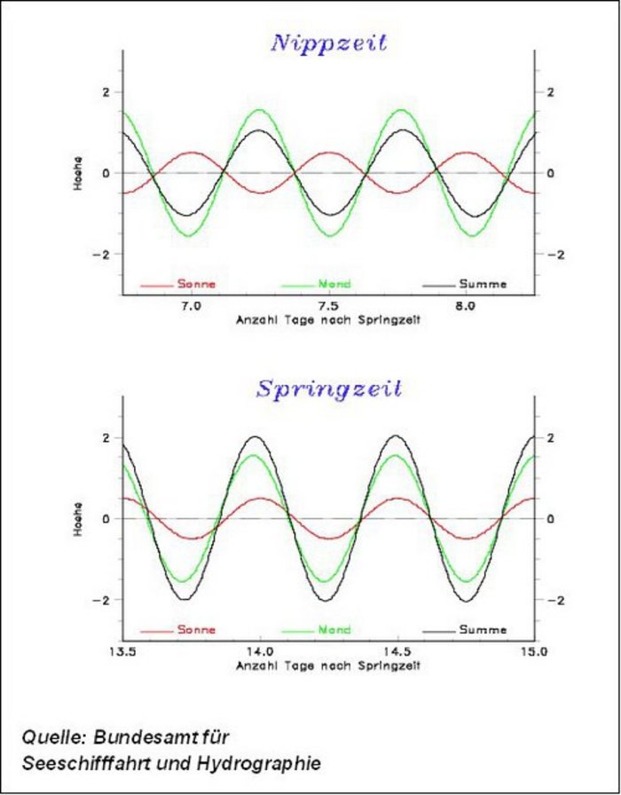 Infografik in zwei Teilen. Dargestellt ist der Einfluss von Sonne und Mond auf die Höhe der Gezeiten. Bei der Nipptide oben gleichen sich die Wirkungen zum Teil aus, bei der Sprintide unten verstärken sie sich.