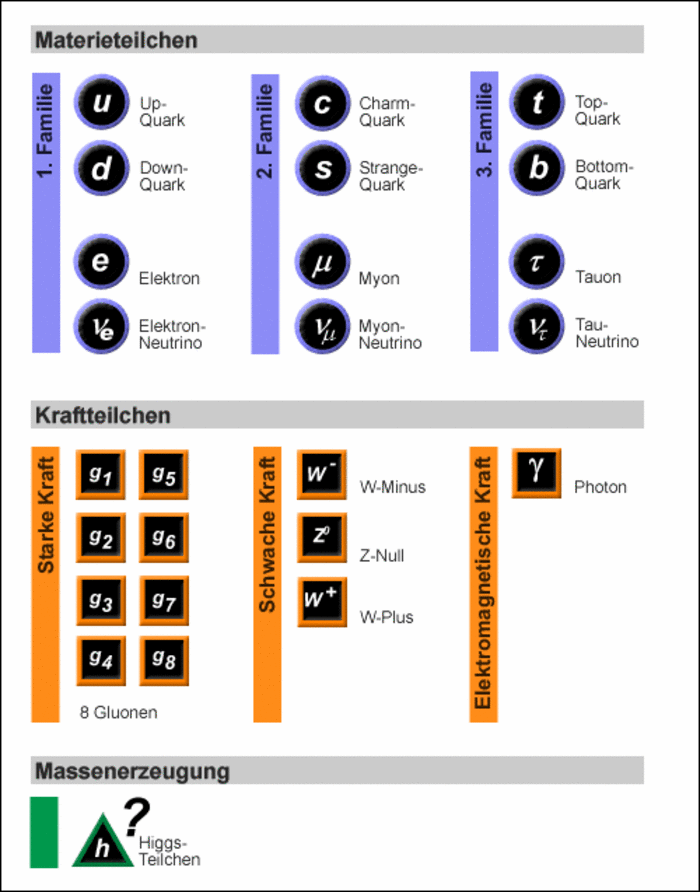 Die Materieteilchen sind in drei Familien angordnet: 1. Familie: Up-Quark, Down-Quark, Elektron und Elektron-Neutrino. 2. Familie: Charm-Quark, Strange-Quark, Myon und Myon-Neutrino. 3. Familie: Top-Quark-Bottom-Quark, Tauon und Tau-Neutrino.
Zu jeder der drei Kräfte gibt es mehr oder weniger viele Kraftteilchen: Zur Starken Kraft existieren acht Gluonen, zur Schwachen Kraft existieren das W-Minus, das Z-Null und das W-Plus, zur elektromagnetischen Kraft existiert das Photon. In einer dritten Säule des Standard-Modells sollen Higgs-Teilchen mit der Massenerzeugung verknüpft sein. Diese Teilchen wurden bisher aber noch nicht gefunden.