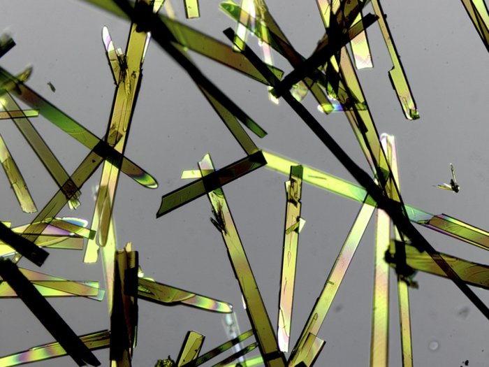 Dünne, stäbchenförmige Kristalle unter dem Mikroskop