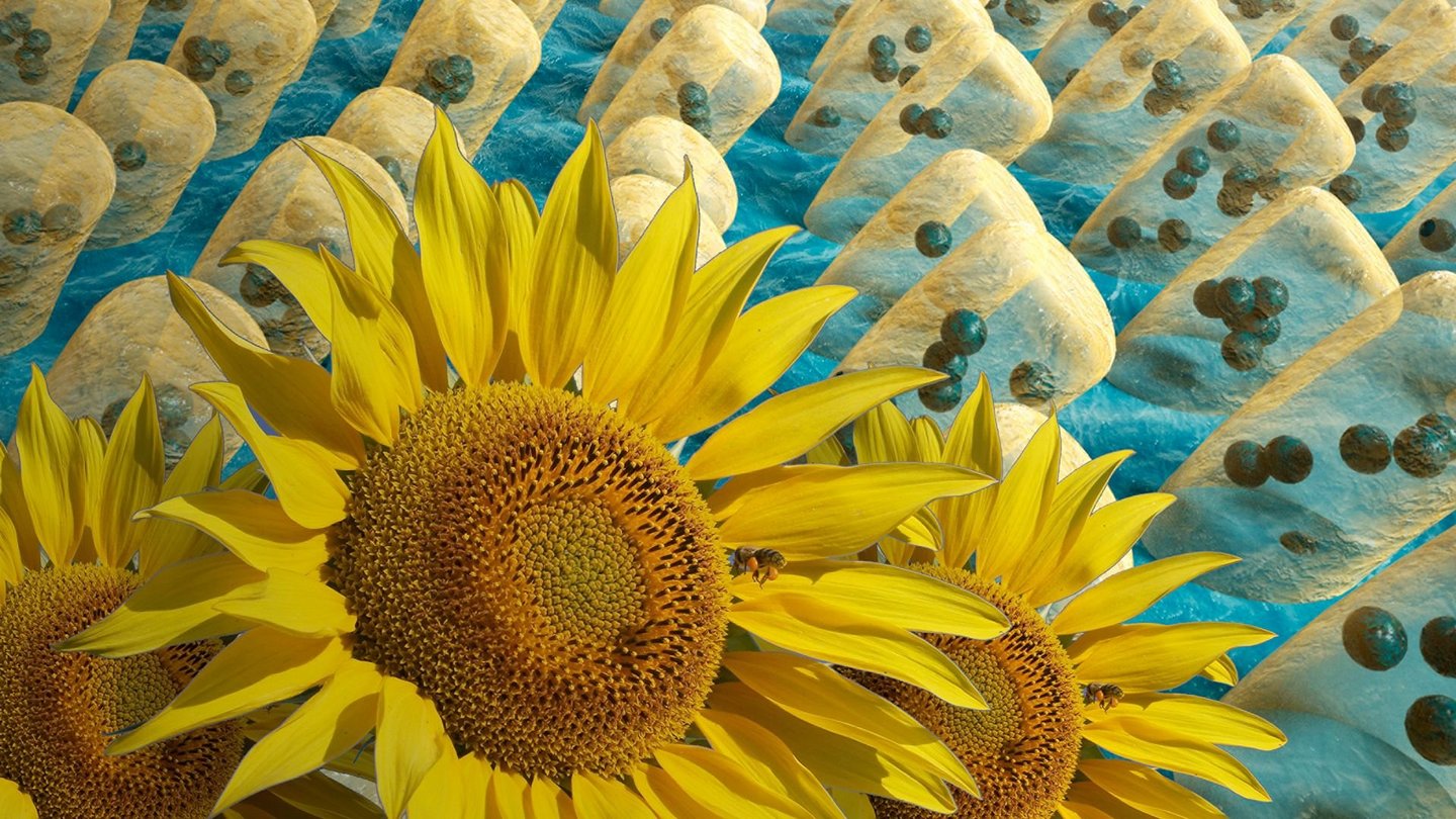 Welt der Physik Immer der Sonne nach