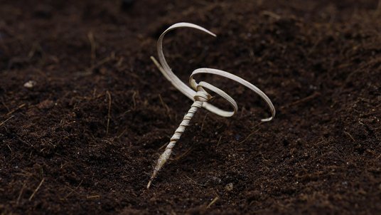 Nagelartiger Stift mit einem spiralförmigen Aufsatz am oberen Ende auf Erdboden