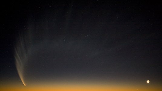 McNaught