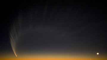 McNaught