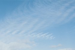 Himmel mit regelmäßig in Bändern angeordneten Haufenwolken.