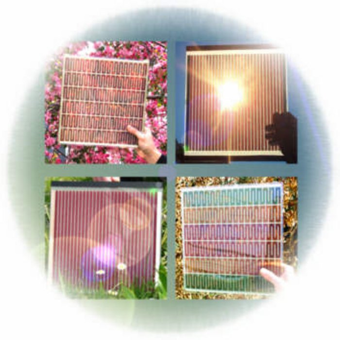 Viergeteiltes Bild. Auf jedem sind halbtransparente Solarmodule vor Blumen, Gras etc. zu sehen.