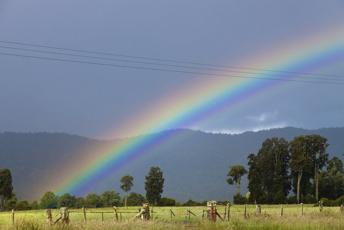 Regenbogen vor einem diesigen Himmel über einer Wiese.