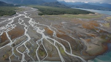 Ein Flussdelta, unten am Rand ist Wasser von einem Meer zu sehen, dass in mehrere dünne Flüsse mündet und umgeben ist von brauner Flora