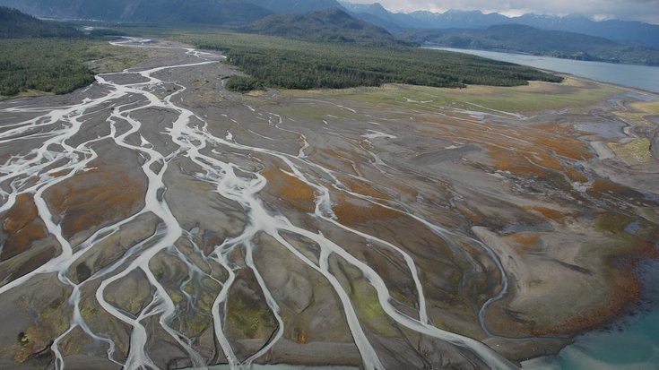 Ein Flussdelta, unten am Rand ist Wasser von einem Meer zu sehen, dass in mehrere dünne Flüsse mündet und umgeben ist von brauner Flora