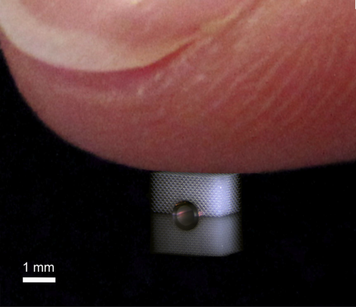 Tarnkappe aus Metamaterial Auf einer spiegelnden, schwarzen Oberfläche liegt ein rechteckiges, weißes, poröses Material. Darauf liegt ein Finger, der die gesamte obere Bildhälfte einnimmt.