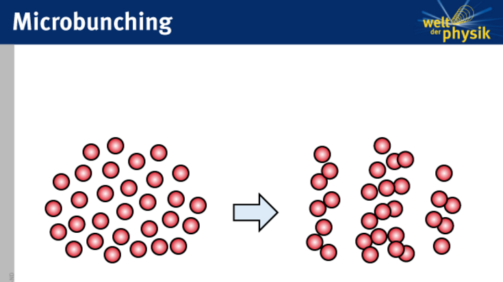 Infrarot aus ELBE Grafik Mikrobunching