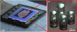 Links ist ein Chip abgebildet, auf dem verschiedene kleine, zylinderförmige Linsen aufgebracht sind. Rechts im Bild ist eine Detailaufnahme der Linsen. Sie sind unterschiedlich hoch.
