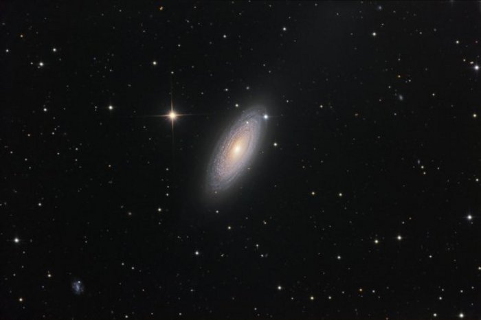 Scheibenförmige Spiralgalaxie