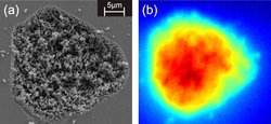 Zinkoxid-Nanokristalle unter dem Elektronenmikroskop