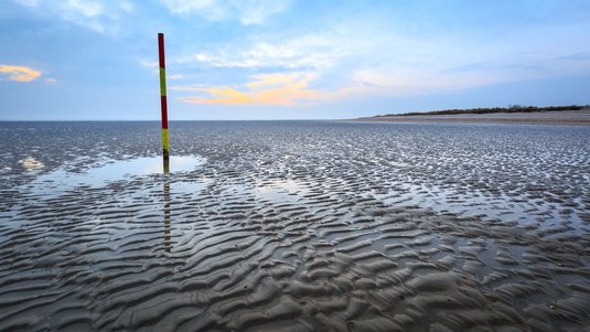 Küstenlandschaft bei Ebbe, schlammiger Meeresboden übersät von kleinen Pfützen