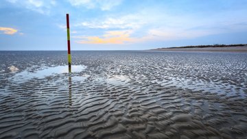 Küstenlandschaft bei Ebbe, schlammiger Meeresboden übersät von kleinen Pfützen