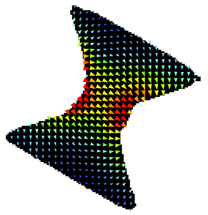 Die Probe ist hier zweidimensional dargestellt und hat ungefähr die Form einer Sanduhr. Das elektromagnetische Feld in ihr ist mit farblich unterschiedlichen Pfeilen gekennzeichnet.