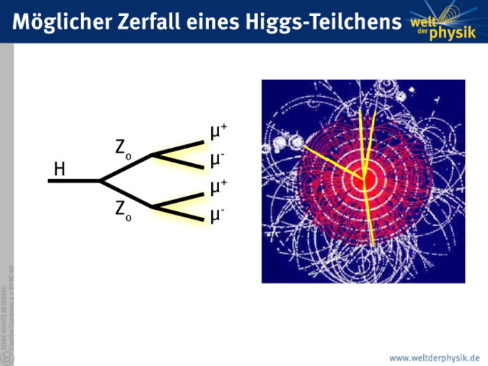 Links: Digramm, das verdeutlicht, dass ein Higgs-Teilchen über zwei Z-Bosonen in vier Myonen zerfällt. Rechts: Computersimulation, auf der unter einer Vielzahl von Teilchenbahnen vier gelbe Linien farblich hervorgehoben sind.