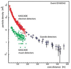 Diagramm der Teilchendichte eines einzelnen Schauers in Abhängigkeit vom Abstand zum Schauerzentrum, gemessen mit verschiedenen Detektorkomponenten von KASCADE-Grande. Myon- und Elektrondetektoren messen zahlreiche Events bis knapp 200 Meter Zentrumsabstand. Der Grande Detektor im Abstand zwischen 200 und 600 Metern.