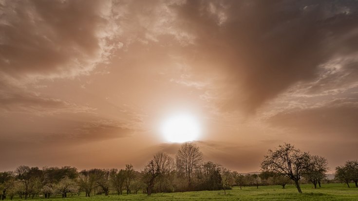 Bild in den Himmel: Die Sonne und der Himmel sind bräunlich verfärbt aufgrund eines Staubwolke.