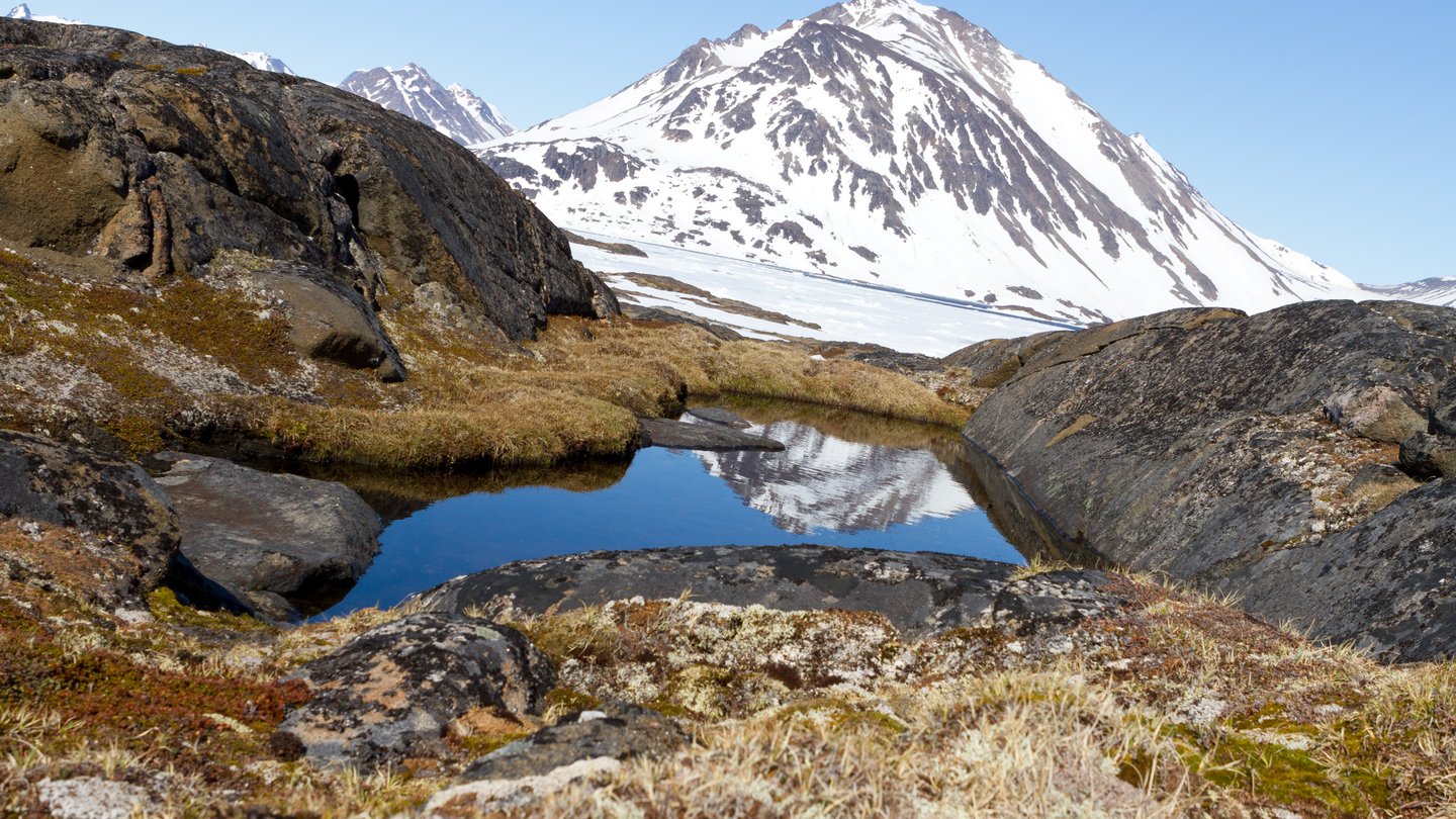 Welt der Physik Eine Zeit, in der Grönland eisfrei war