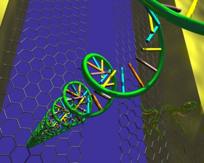 DNA-Strang im Graphenriss DNA-Strang im Graphenriss