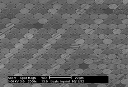 Gleichmäßig angeordnete kreisförmige Strukturen. In jedem Kreis sind parallele Linien zu erkennen, die von Kreis zu Kreis in unterschiedliche Richtungen orientiert sind. Mikroskopische Skala: Die Kreise haben Durchmesser von einigen Mikrometern.