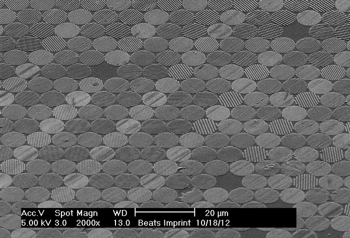 Beugungs-Pixel unter dem Mikroskop Gleichmäßig angeordnete kreisförmige Strukturen. In jedem Kreis sind parallele Linien zu erkennen, die von Kreis zu Kreis in unterschiedliche Richtungen orientiert sind. Mikroskopische Skala: Die Kreise haben Durchmesser von einigen Mikrometern.