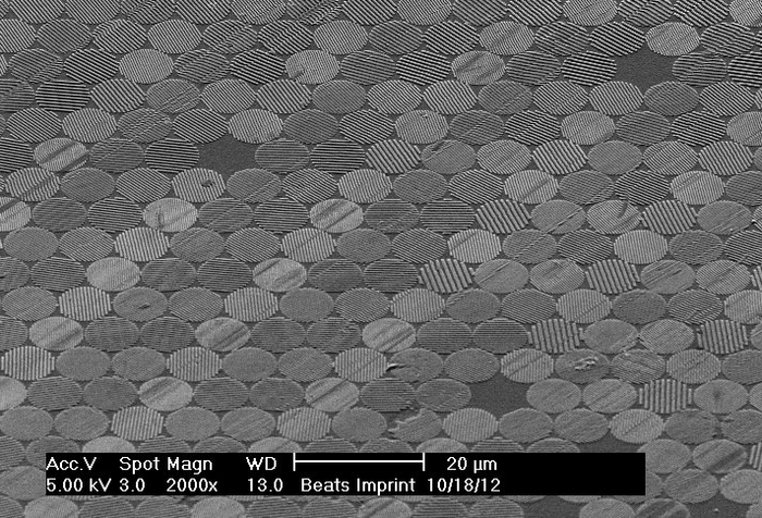 Gleichmäßig angeordnete kreisförmige Strukturen. In jedem Kreis sind parallele Linien zu erkennen, die von Kreis zu Kreis in unterschiedliche Richtungen orientiert sind. Mikroskopische Skala: Die Kreise haben Durchmesser von einigen Mikrometern.