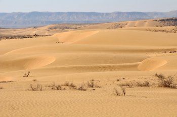 Das Foto zeigt eine Wüste.
