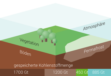 Kohlenstoff im Boden In einer Grafik wird schematisch eine Landschaft dargestellt: Bestimmte Zonen dieser Landschaft sind verschieden eingefärbt, wobei sich die Farbgestaltung an der gespeicherten Kohlenstoffmenge orientiert. Der dunkelbraune Boden speichert 1700 Gigatonnen CO2, der blassbraune Permafrostboden 1200 Gigatonnen, die grüne Vegetation 450 Gigatonnen und die blaue Atmosphäre 885 Gigatonnen.