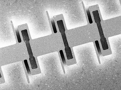 Schwarz-weiße vergrößtere Aufnahme der leiterförmigen Nanostruktur des Lasers.