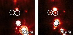 Zwei Bilder zeigen denselben Ausschnitt des Orionnebels. Sie zeigen die empfangene Strahlung bei verschiedenen Wellenlängen. Im rechten Bild sind zwei Protosterne zusehen, sie strahlen bei 70 Mikrometern, im linken Bild sind sie unsichtbar, denn es zeigt Strahlung der Wellenlänge 24 Mikrometer.