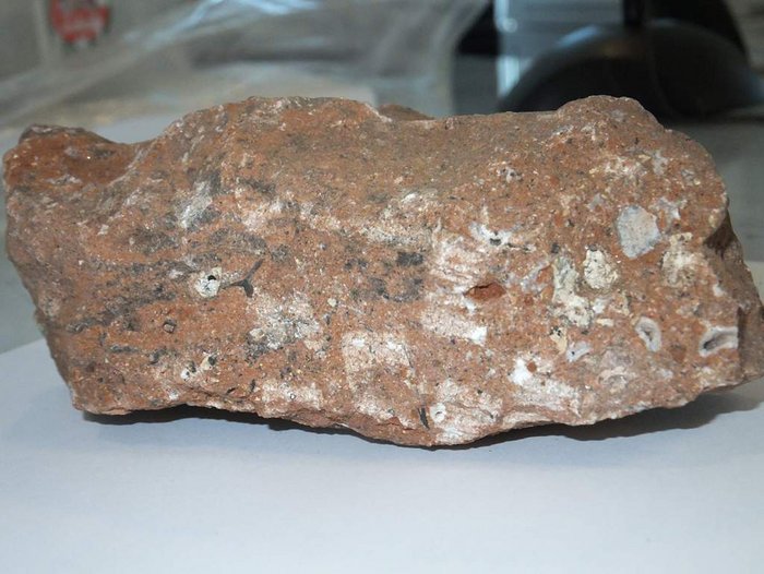 Breccia Breccia als Gestein sieht bräunlich und recht unscheinbar aus. Es besteht aus vielen einzelnen Gesteinstrümmern. Archäologen interessieren sich vor allem für die Einschlüsse darin, die oft Hunderttausende von Jahren alt sein können. Von außen sehen kann man diese Einschlüsse aber meist nicht.