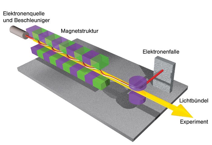 Schema eines Freie-Elektronen-Röntgenlasers Grafische Darstellung eines Freie-Elektronen-Lasers: Aus einer Elektronenquelle und einem Beschleuniger kommend (links, dargestellt als kleiner Zylinder) fliegt ein Elektronenstrahl im Slalomkurs durch eine periodische Magnetstruktur (zwei lange Reihen von abwechselnden grünen und violetten Kästen oberhalb und unterhalb des Strahls). Darin erzeugt er Röntgenlicht, das als gelber Strahl dargestellt ist. Hinter der Magnetstruktur wird der Elektronenstrahl zur Seite in eine Elektronenfalle abgelenkt, während der Lichtstrahl geradeaus zu einem Experiment weitergeleitet wird.