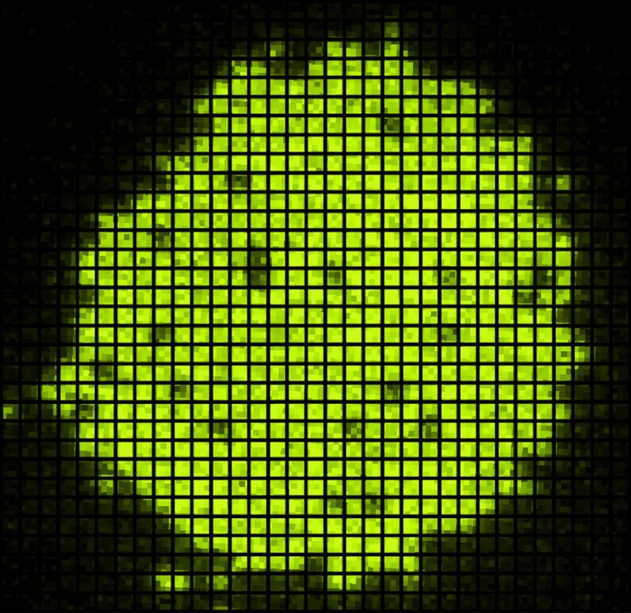 Quantenkühlung Eine unregelmäßige grüne Fläche mit unterschiedlicher Schattierung liegt hinter einem schwarzen quadratischen Gitter