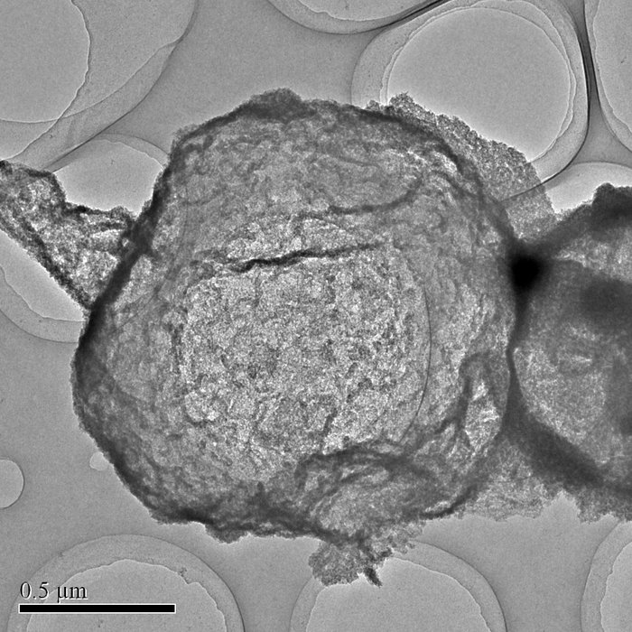 Neues Elektrodenmaterial mit Nanostruktur Im Vordergrund eine felsartige Struktur aus Eisenoxid, dahinter liegen mehrere Blasen aus Kohlenstoff nebeneinander. Zwischen den Blasen gibt es mehrere Lücken.