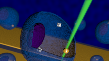 Illustration einer Zelle, in der zwei kantige Objekte und ein rundes Objekt liegen. Das runde Objekt wird von Laserlicht getroffen.