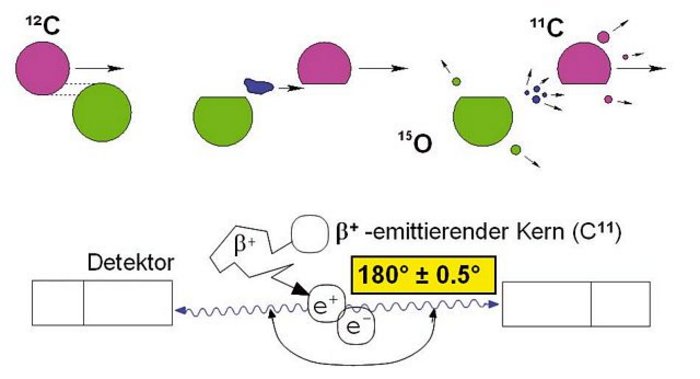 Reichweitenkontrolle durch Fragmentbildung im Gewebe Grafik in zwei Teilen. Unterer Bereich zeigt schematisch ein e+ und ein e- Teilchen, darüber ein ß+-emittierender Kern, in grober Zickzacklinie auf die Teilchen treffend. Von den Teilchen führen waagerechte Wellenpfeile links und rechts auf Detektoren. Dazu eine Winkelangabe "180° Plusminus 0,5°". Im oberen Teil der Grafik links ein violetter Kreis namens 12C mit Bewegungspfeil nach rechts, seitlich versetzt ein ebenso großer grüner Kreis. Im zweiten Bild links der grüne Kreis, dem das Oberteil fehlt, weiter rechts der bewegte violette Kreis ohne Unterteil, dazwischen ein kleiner blauer Klecks ebenfalls mit Pfeil nach rechts. Im dritten Bild daneben links grüner Kreis ohne Oberteil namens Sauerstoff-15, zwei kleine grüne Punkte mit Pfeilen weg vom Zentrum; rechts der violette Kreis wie zuvor, namens Kohlenstoff-11, mit drei unterschiedlich großen Punkten mit Pfeilen grob nach rechts; in der Mitte vier kleine blaue Punkte, ebenfalls alle grob nach rechts unterwegs.
