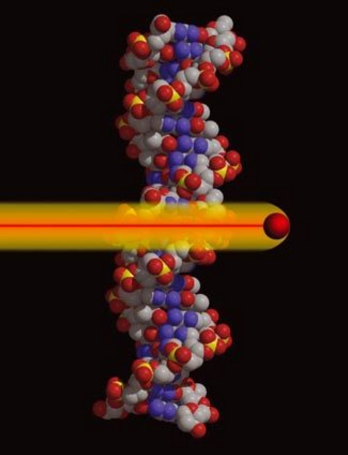 Senkrecht stehende DNA-Helix aufgebaut aus blauen, grauen, roten und wenigen gelben Kugeln, die Atome/Moleküle bildend, vor schwarzem Hintergrund; von links kommt eine rote Kugel, gefolgt von roter Linie in gelbem Schweif, durchschlägt die Helix horizontal.